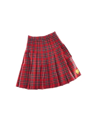 Pleated Skirt
