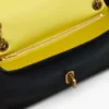 The Dual Chain Mini Bag