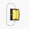 The Dual Chain Mini Bag