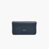 The Leather Mini Bag